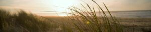 Coaching conjugal familial individuel communication